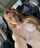 amateur brunette topless