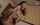 japanese jav cowgirl