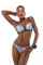 model black dutch