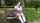 jav japanese asian