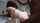 bbc interracial doggy