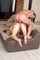anal straight couple