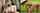 porn ad big tits asian