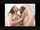 lesbian interracial kissing