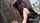 camgirl asian japanese