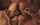 masturbation threesome sharing girlfriend