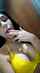 camgirl solo fingering