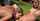 navel piercing cunnilingus lesbian