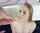blonde teen cumshot