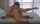 lesbian pussy eating cunnilingus
