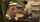 jav japanese massage