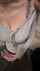 large tits large breast blue bra