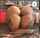 ass 2 girls brazzers