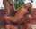 blonde anal riding