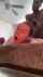 amateur teen bbc