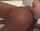 rimming interracial blonde