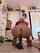 camgirl petite blonde