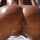 ass asshole cum