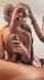 bbc interracial blowjob