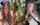 camgirl amateur onlyfans