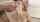 blonde teen cumshot