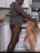 bbv interracial blonde