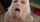 blonde blowjob cum