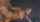 jav japanese identify