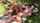 teen blowjob outdoor