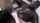 brunete white rimming