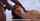 black cock brunette cumshot