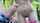 jerkoff naturalism skinny