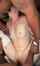 bbc deepthroat threesome