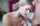 sloppy blowjob ponytail blonde