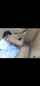 amateur anal brunette
