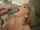 milf blonde cumshot