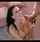 milf brunette cumshot