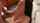 brunette cumshot milf