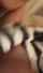amateur solo masturbation