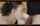 blonde blojob bbc