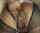 anal stockings creampie