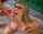 blonde milf cumshot