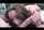 blowjob rimming morena
