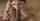 blowjob eye contact wooden floor