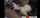 rimming bbc interracial