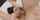 face fuck closeup deepthroat