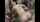 gangbang brunette teen