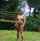 blonde bigtits southern