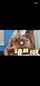 bbc blacked brazzers