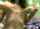 camgirl amateur nasty